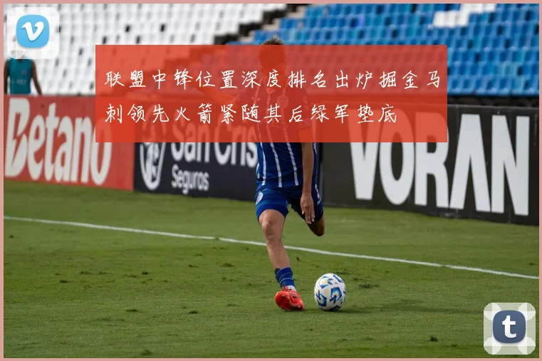 联盟中锋位置深度排名出炉掘金马刺领先火箭紧随其后绿军垫底