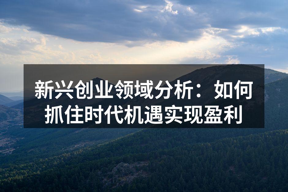 新兴创业领域分析：如何抓住时代机遇实现盈利